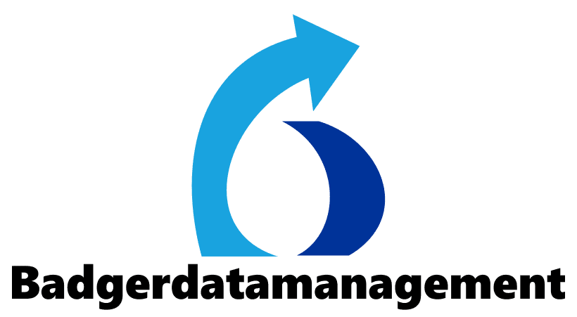 badgerdatamanagement.com